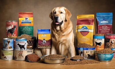 affordable dog food for large breeds