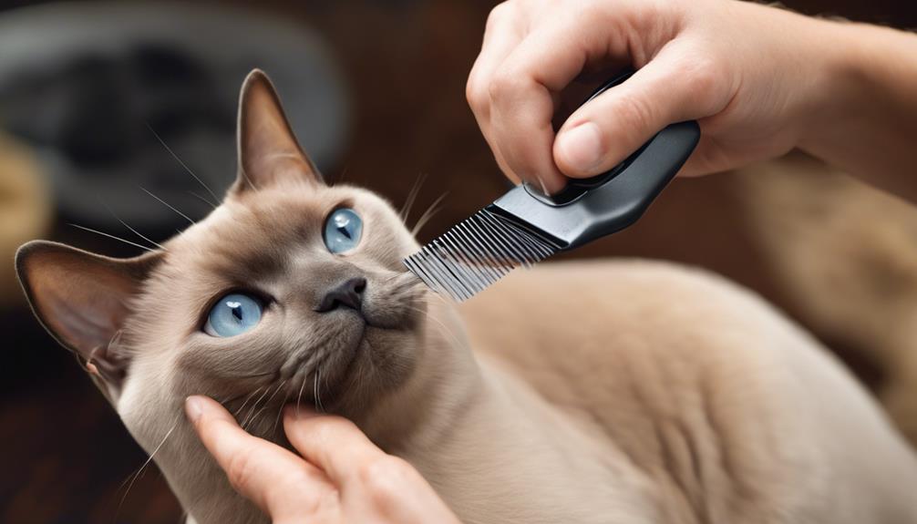allergy friendly grooming for pets