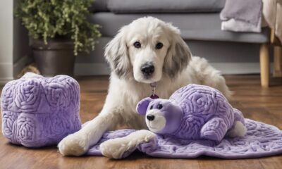 anxiety relieving toys for dogs