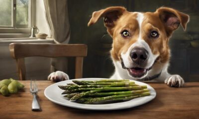 asparagus and dogs diet