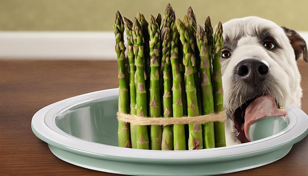 asparagus in dog s diet
