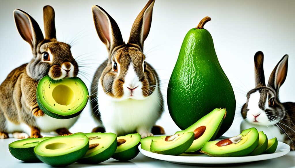 avocado and rabbits