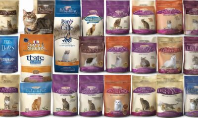 best dry cat foods