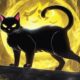 black cat pokemon species