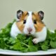 can hamsters eat cilantro