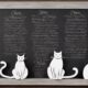 cat names for you