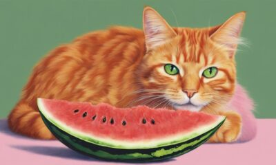 cats and melon consumption