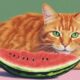 cats and melon consumption