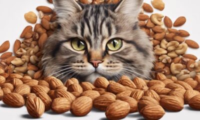 cats and nuts safety