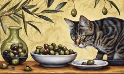 cats and olives compatibility