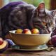 cats and plum consumption