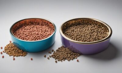 choosing between raw and freeze dried dog food