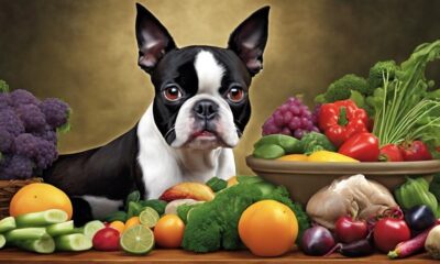 choosing the right dog food