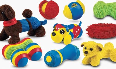 colorful dog toys engage