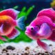 colorful fish names list