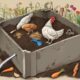composting chicken bones made simple
