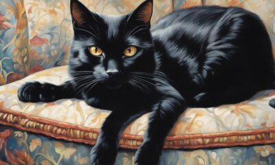 comprehensive guide to black cats