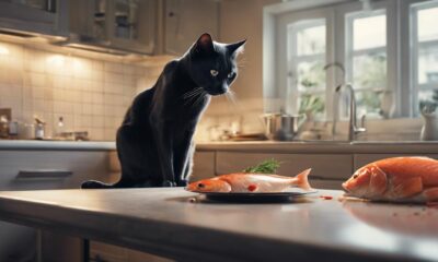 cooked fish for cats