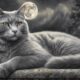 creative naming ideas for grey cats