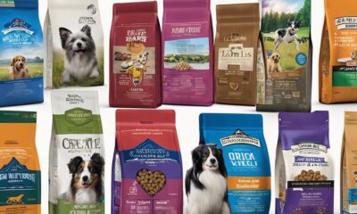 dog food for allergies