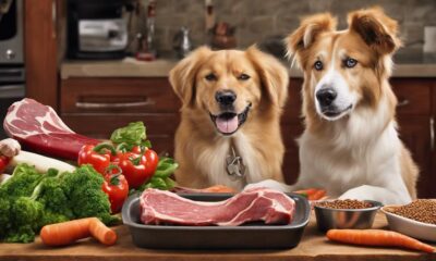 dog food preparation methods