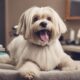 dog grooming services guide