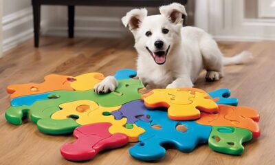 dog puzzle toys 2024