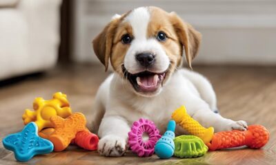 dog teething toys recommended