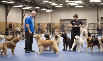 dog training career guide