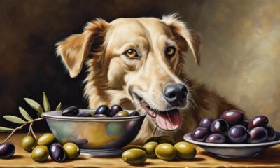 dogs and olives inquiry