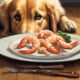 dogs and shrimp safety