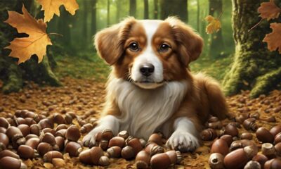 dogs should avoid acorns