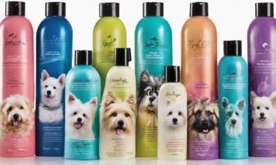 dry dog shampoo options