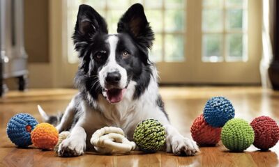 durable toys for active dogs