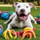 durable toys for strong dogs