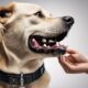 efficient e collar dog training