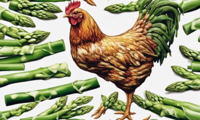 feeding chickens raw asparagus