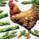 feeding chickens raw asparagus