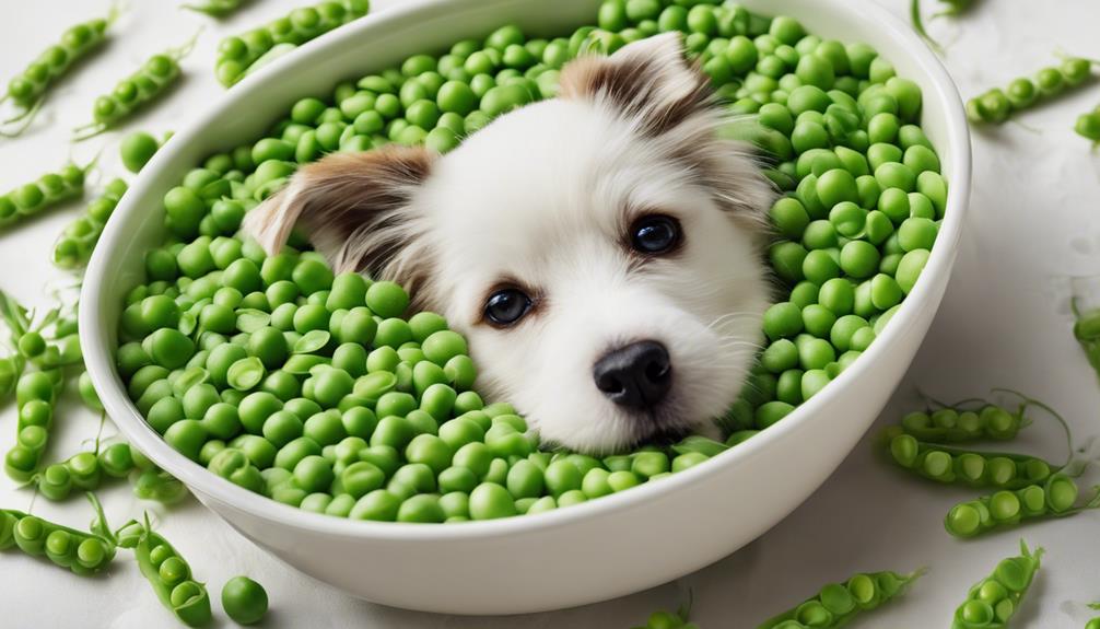 feeding peas to dogs