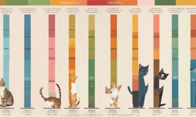 feline weight range guide