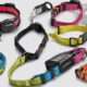 garmin dog training collars