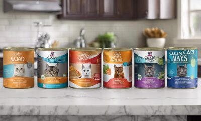 grain free wet cat foods