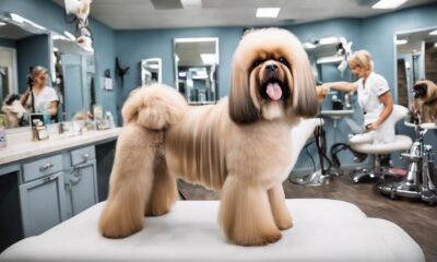 grooming guide for dogs