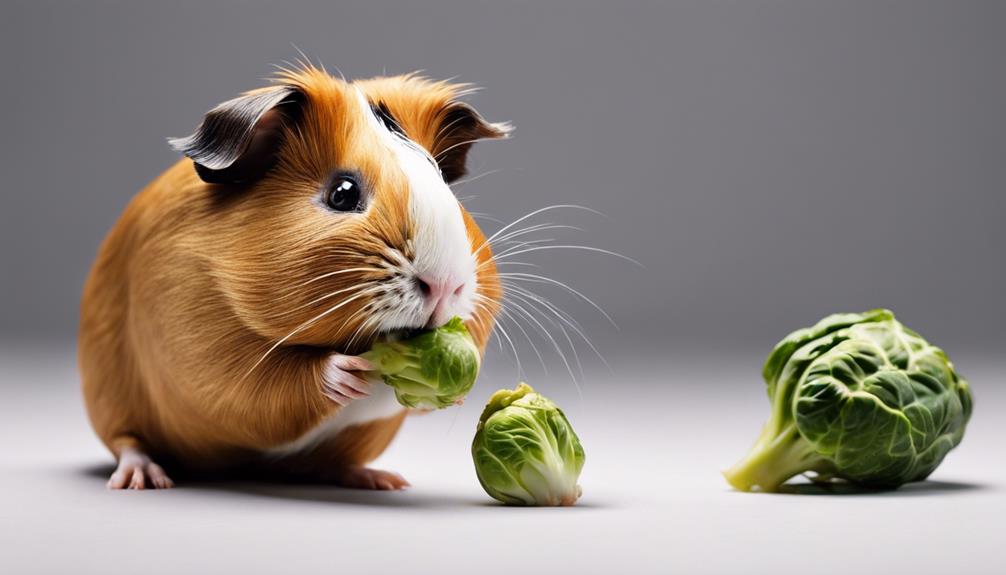 guinea pig dietary study