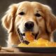 honey benefits for dogs