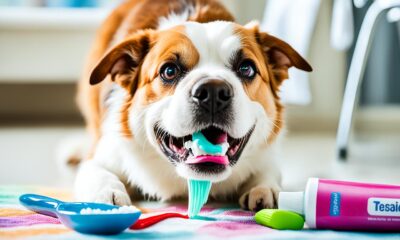 how to clean a dogs mouth and teeth