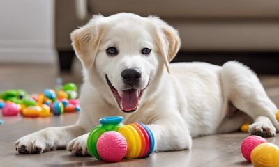 interactive dog toys review