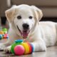 interactive dog toys review