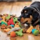 interactive dog treat toys