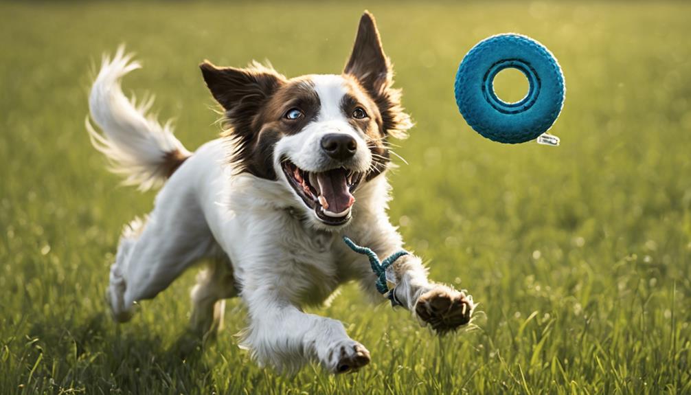 outdoor dog toy recommendations